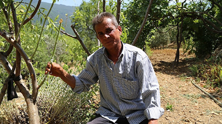 Yakınlarının kayıp ihbarı yaptığı adam zeytin ağacında asılı halde bulundu