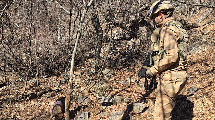 Güvenlik güçlerimiz başarılı operasyonlarını sürdürüyor.