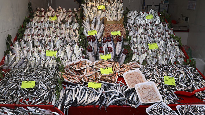 Havaların ısınmasıyla birlikte balık çeşitliliği arttı.