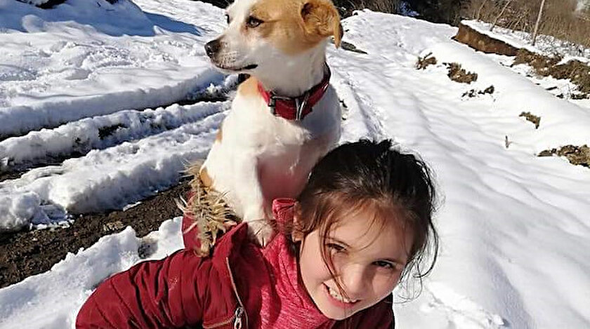 Küçük Cemre insanlık dersi: Hastalanan köpeğini sırtında veterinere götürdü