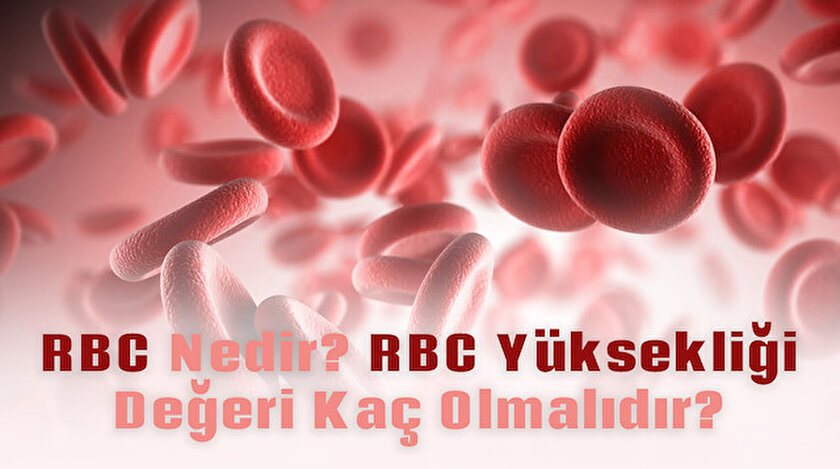 rbc nedir kan tahlilinde rbc yuksekligi degeri kac olmali yeni safak
