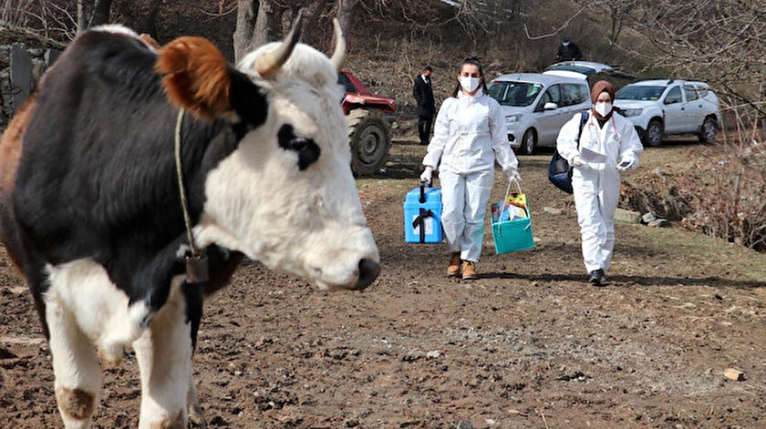 Dünyada 140 ülkede 501 milyon kişi aşılandı: Türkiye 7inci sırada