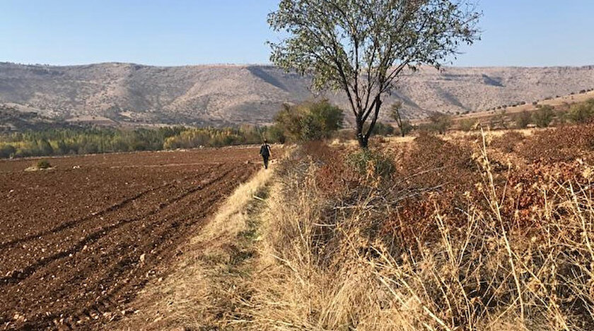 Mardin Büyükşehir Belediyesi’nden tarımsal kalkınmayı destekleyecek proje