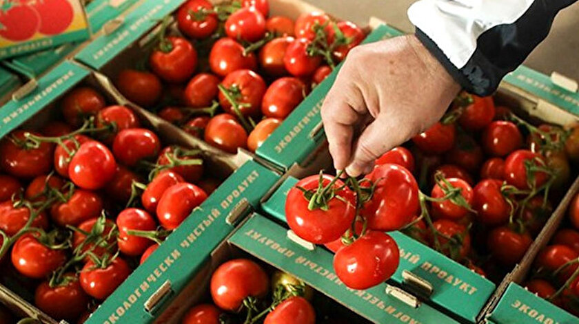 Rusyadan Türkiye teklifi: Domates kotası 300 bin tona çıkarılacak
