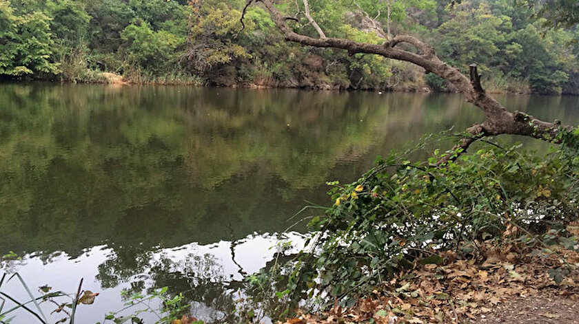 Çamlıköy Tabiat Parkı yedi yıl süreyle kiraya verilecek