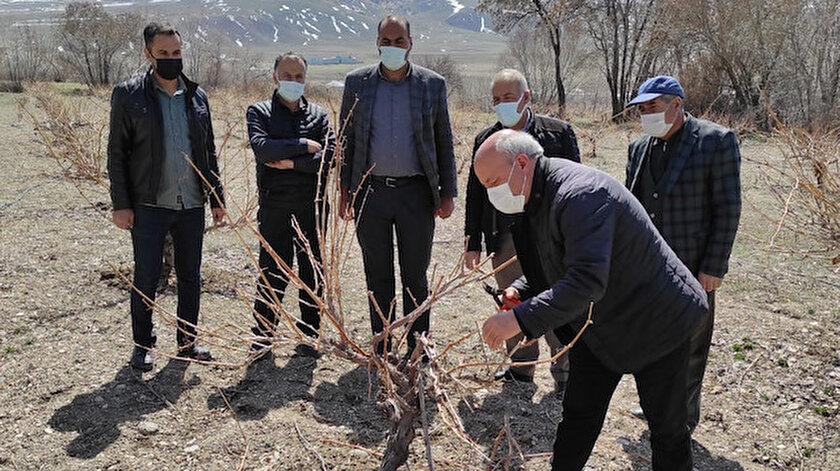 Tuşba Belediyesi’nden çiftçilere uygulamalı ağaç budama
eğitimi