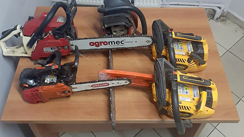 Üsküdarda ağaç kesen şüphelilere mahkemeden ders gibi karar: 200 adet fidan dikecekler