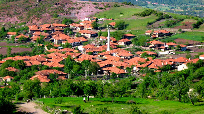 balikesir sindirgi da milli emlak