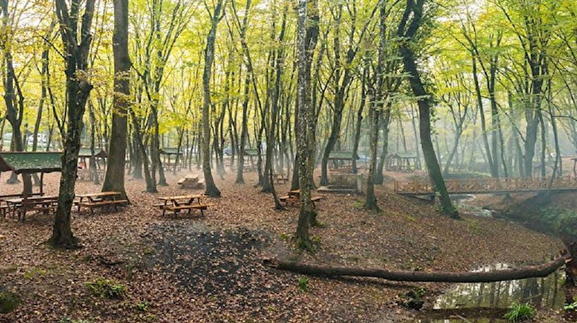 c tipi mesire yeri isletme hakki kiraya