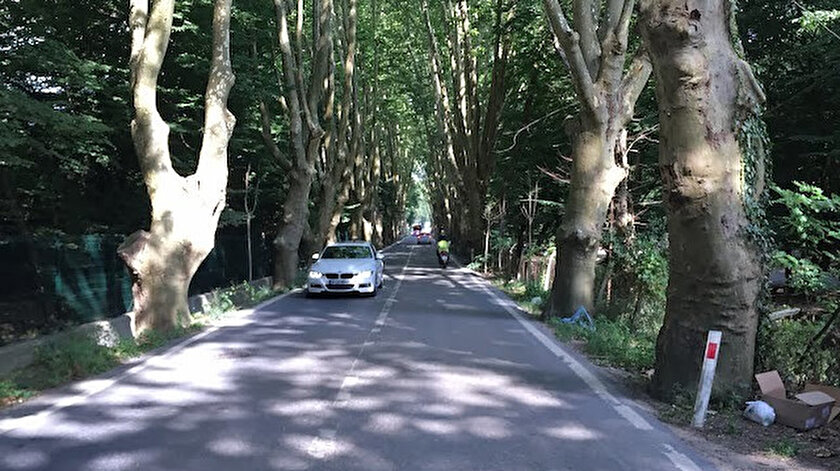Orman yolu yapımı ve üretim işi ihale edilecek