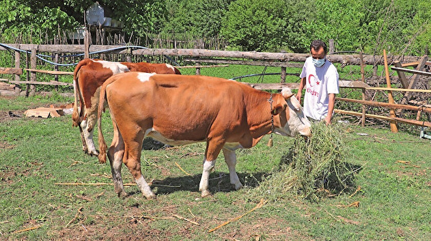 Engelliler hayallerine İŞKUR ile kavuştu 