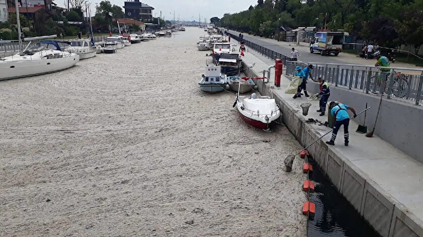 Marmara müsilajla mücadele ederken İBB bir arıtma tesisini daha yatırım planından çıkardı