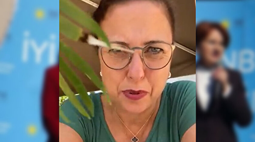 İYİ Parti kurucusu İlay Aksoy Suriyeli esnafı hedef gösterdi