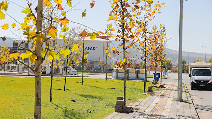 Belediye Başkanı Hilmi Bilgin 5 bininci ağacı toprakla buluşturdu