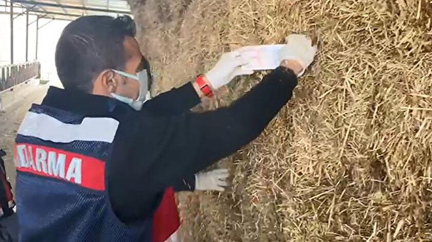 Her şeyi itiraf ettiler: Samanların içinden deste deste para çıktı
