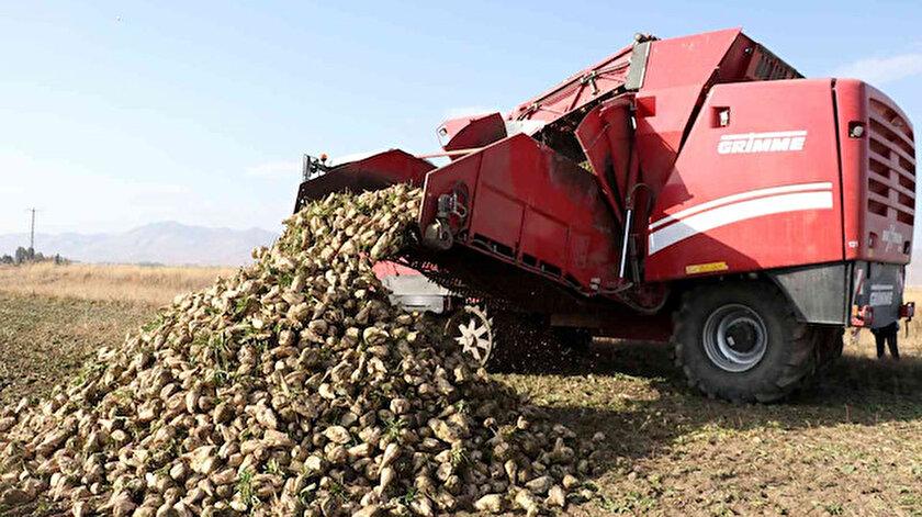 Albayrak Grubunun sağladığı teşviklerden üreticiler memnun: Hedef 550 bin ton pancardan 82 bin ton şeker üretimi