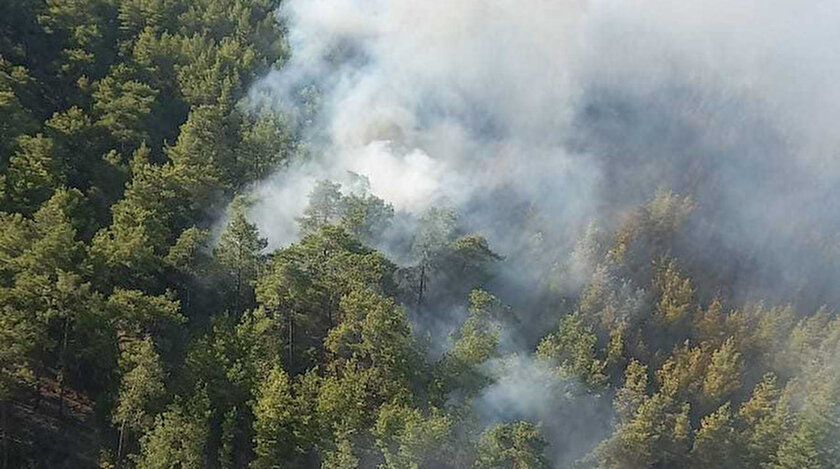 Antalya Serikteki yangın kontrol altında