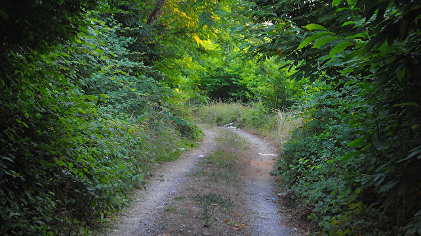 Orman yolu yaptırılacak