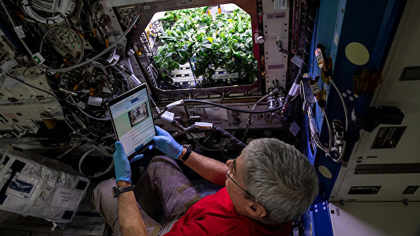 Astronotlar uzay biberinden tako yaptı