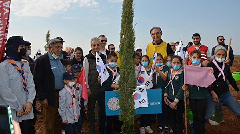 Türkiye - Kore Dostluk Ormanı için ilk fidanlar toprakla buluştu