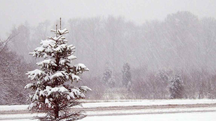 Karsta yarın okullar tatil mi? 20 Ocak Kars kar tatili haberi