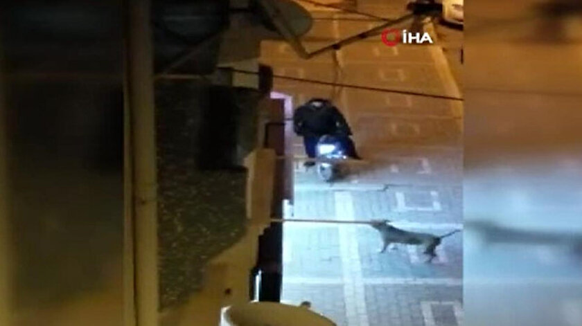 Başıboş pitbull saldırdı: Vatandaş arabanın üstüne çıkarak kurtuldu