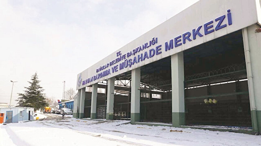 Bağcılarda sokak hayvanlarına özel ısıtma sistemi