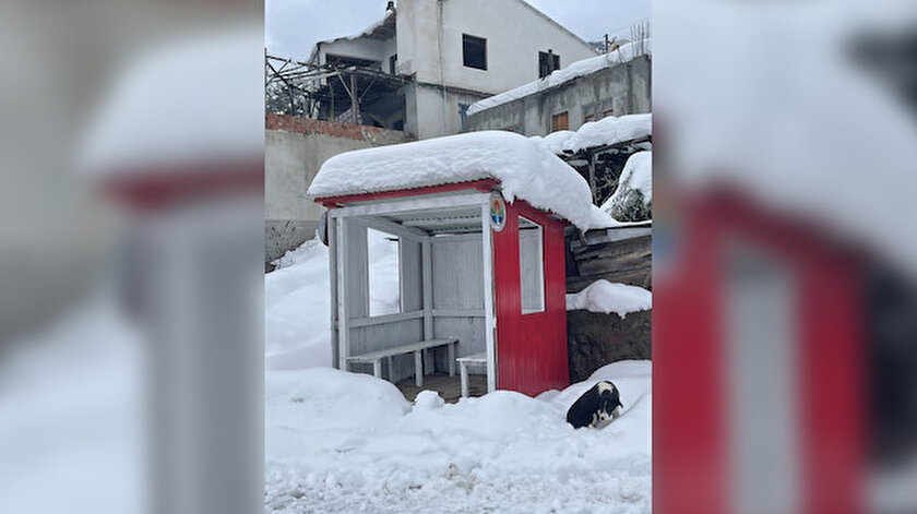 Durağı da sahiplendiler