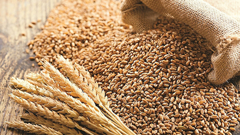Buğday üretimimiz tüketimi karşılıyor: ​Rusya-Ukrayna geriliminde Türkiye  buğday sıkıntısı çekmez​ - Yeni Şafak