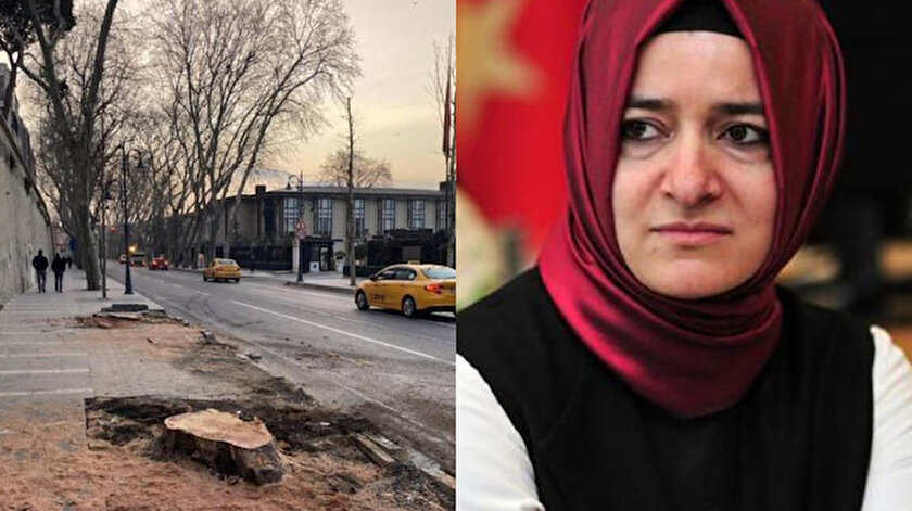 AK Partili Kaya’dan Beşiktaştaki 112 çınarı kesen İBB’ye: İstanbullular hesabını soracak
