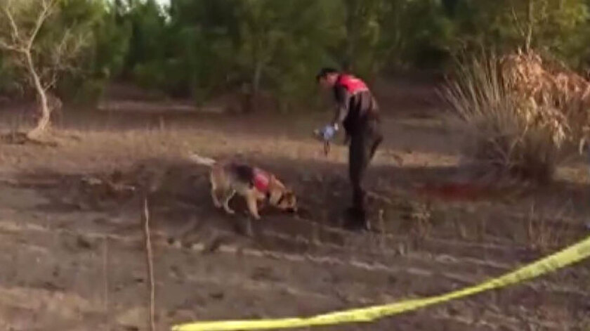Samsun’da miras cinayeti: Cesedi jandarma kadavra köpeği buldu