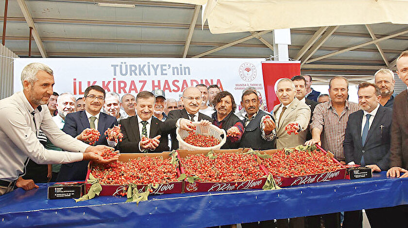 Yılın ilk kirazı 700 TL’den alıcı buldu