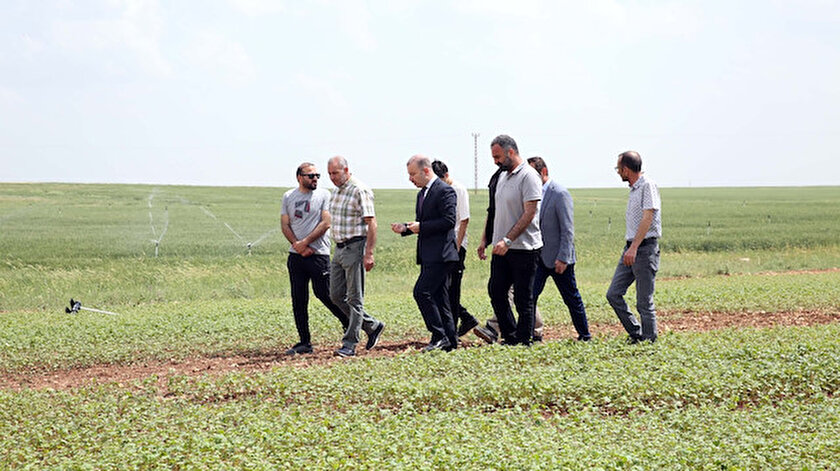 Mardin haberleri: Mardin Büyükşehir Belediyesin’den Çölyak Hastalarını sevindirecek gelişme