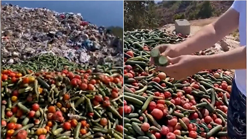 Antalyada çöpe atılan sebzeleri görüntüleyen vatandaş isyan etti: Bu nasıl bir insanlıktır