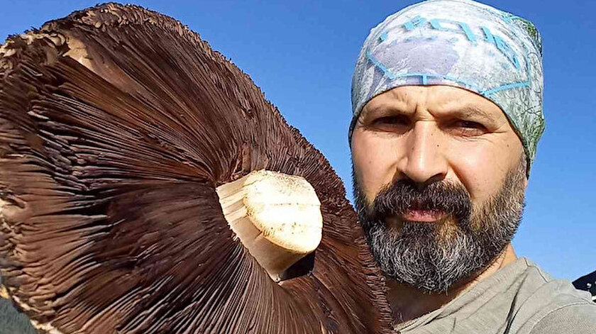 Erzurum haberleri: 6 kiloluk devasa mantarlar görenleri şaşırttı