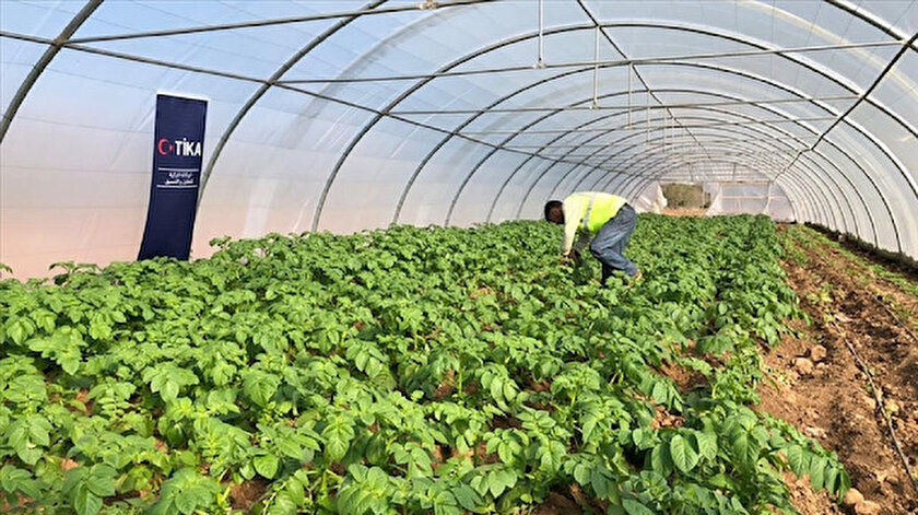 TİKA’dan Filistinli yerel kooperatiflere tarım desteği
