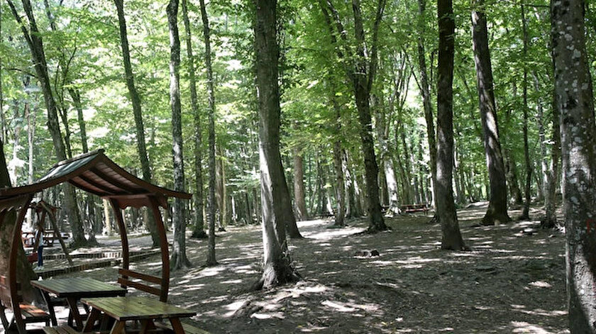 Gaziantepte bazı ormanlık alanlarda piknik yasaklandı