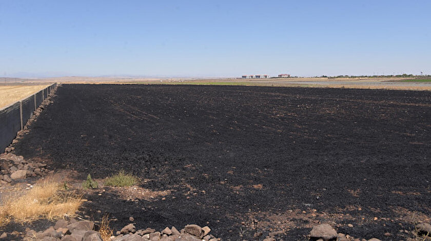 Diyarbakırda 220 dönüm tarlada ekili buğday ve arpa yandı
