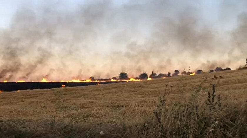 Çorluda yangın: 170 dönüm alandaki bezelye ve buğday küle döndü