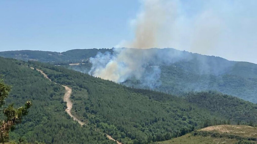Bigada orman yangını: Müdahaleler sürüyor
