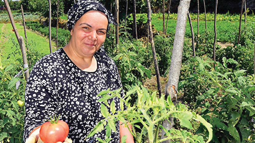 İstanbul’un çiftçileri iş başında: Tarihle iç içe bostanlar