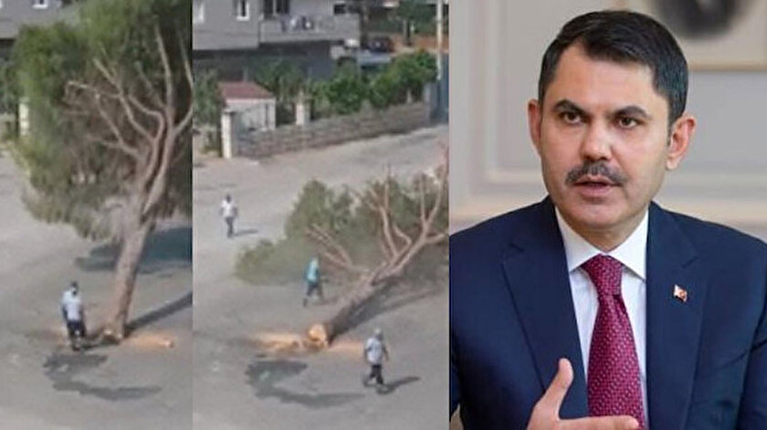 Bakan Kurumdan İzmir Büyükşehir Belediyesine tepki: Lafta en çevreci kendileri ama iş icraata gelince ağaçlara kıyıyorlar