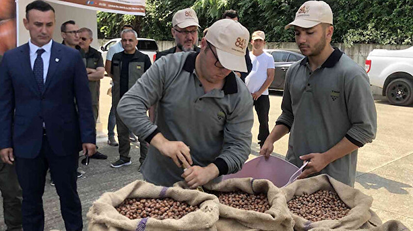 Giresun’da Toprak Mahsulleri Ofisi tarafından yeni sezon fındık alımına başlandı: 53 randıman gelen ilk fındık 56 liradan alındı