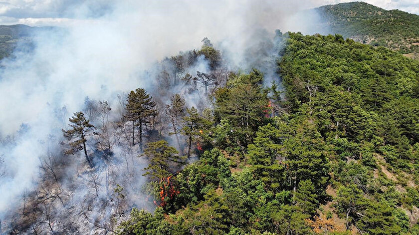 Balıkesirde iki ilçede çıkan orman yangınları kontrol altına alındı