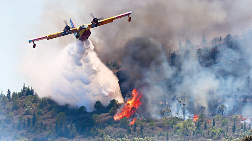 ​Geçen yıl yanan ormanların yüzde 90ında çalışmalar tamamlandı
