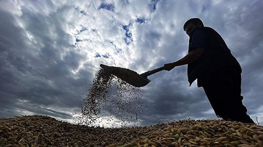 Tarımsal Destek Ödemesi Sorgulama Ekranı: E-Devlet çiftçi ödemeleri yattı mı?