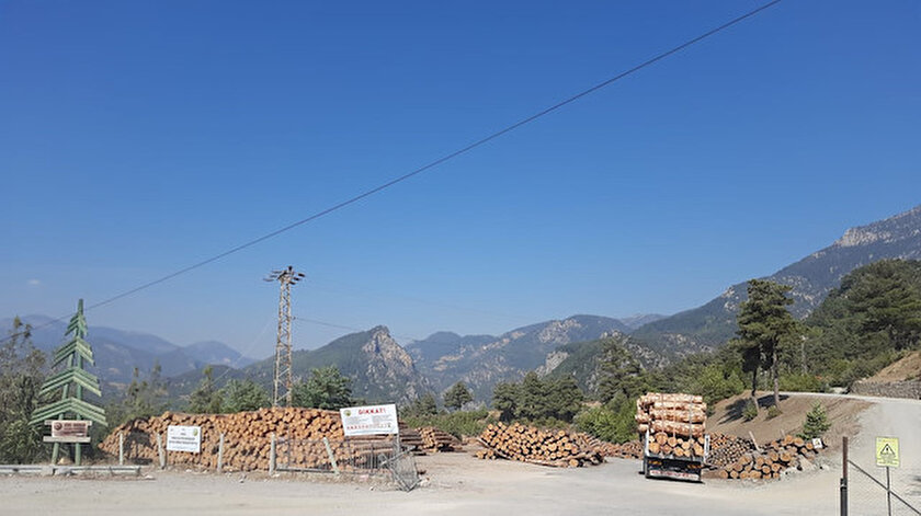 Adana'da üzerine tomruk devrilen işçi öldü - Yeni Şafak