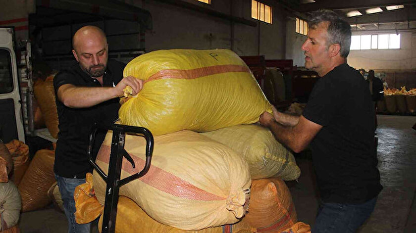 TMO Genel Müdürü Güldal: Fındığın tamamını almak için hazırız