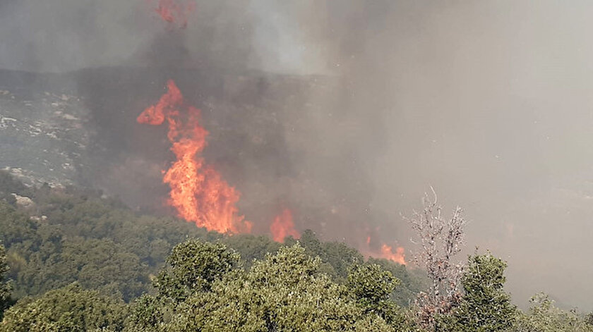 Antalya son dakika haberleri: Antalyada makilik yangını