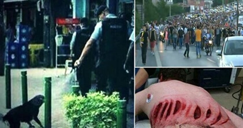 Sosyal medya yalanın dibini gördü!